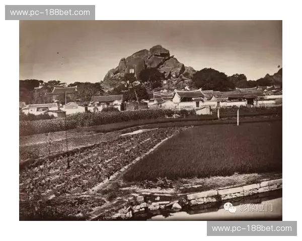 岭南雄风遇上海韵：佛山与青岛，一场跨越地域的精彩对话